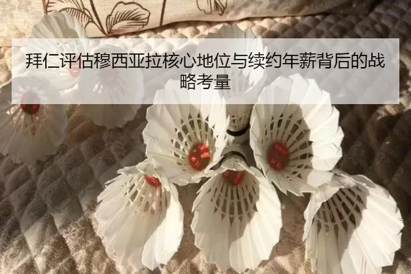 bai-ren-ping-gu-mu-xi-ya-la-he-xin-di-wei-yu-xu-yue-nian-xin-bei-hou-de-zhan-lve-kao-liang-3-853.jpg